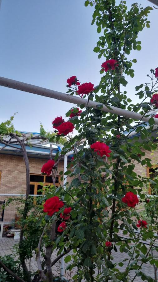 Hostel Muborak ซามาร์คันด์ ภายนอก รูปภาพ