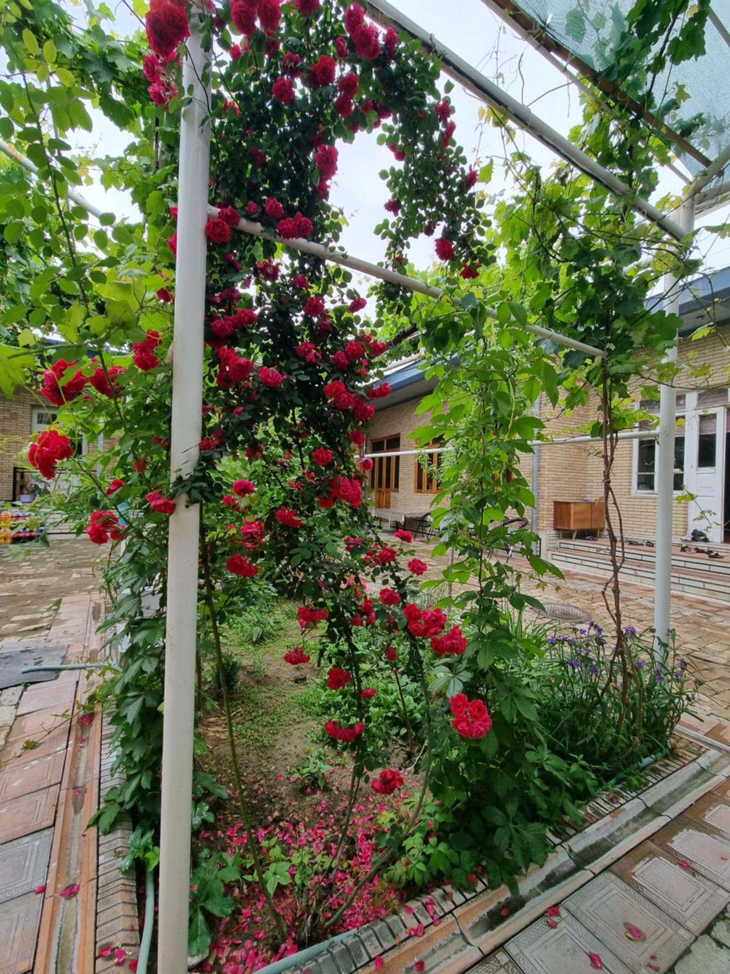 Hostel Muborak ซามาร์คันด์ ภายนอก รูปภาพ