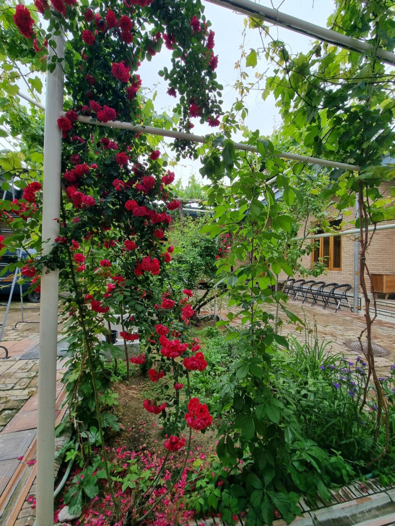 Hostel Muborak ซามาร์คันด์ ภายนอก รูปภาพ